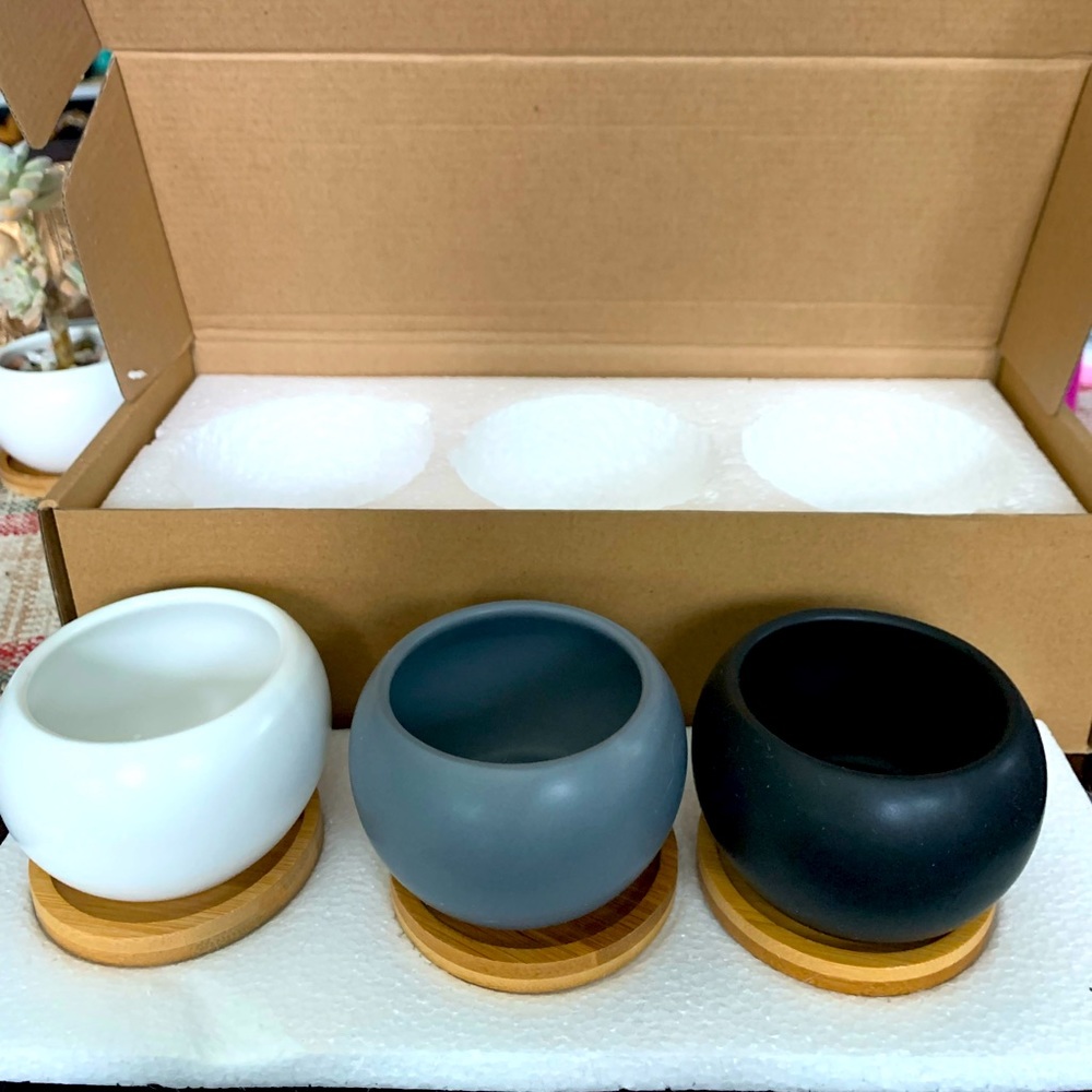 🖤🤍❤️‍🩹Ceramics flower pots🌵🌼🌺
